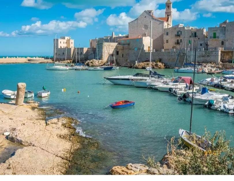 Apartment Piazza Duomo - Medieval Puglia's House